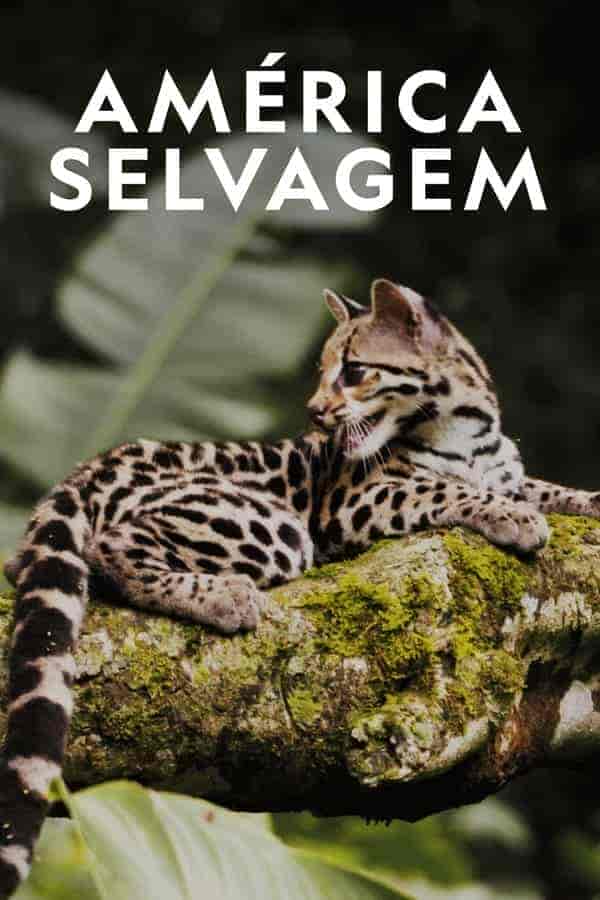 مسلسل Wild Latam الموسم الاول الحلقة 9 التاسعة مترجمة